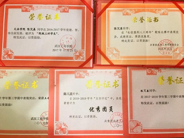 武汉工商学院优秀学子
