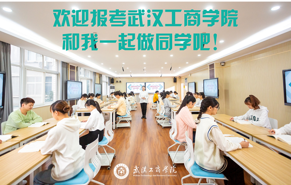 武汉工商学院