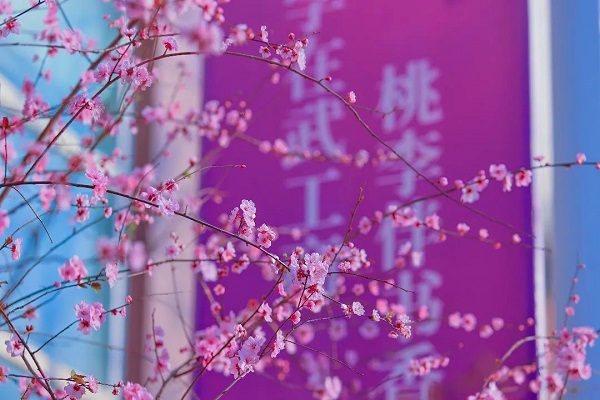 武汉工商学院自考本科樱花