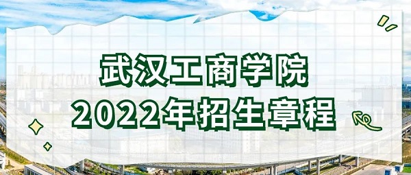 武汉工商学院