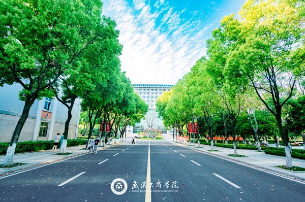 武汉工商学院
